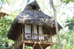 Dominican Tree House Village Room 2